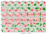Studying the Sleep Dynamics in Healthy and disordered Humans